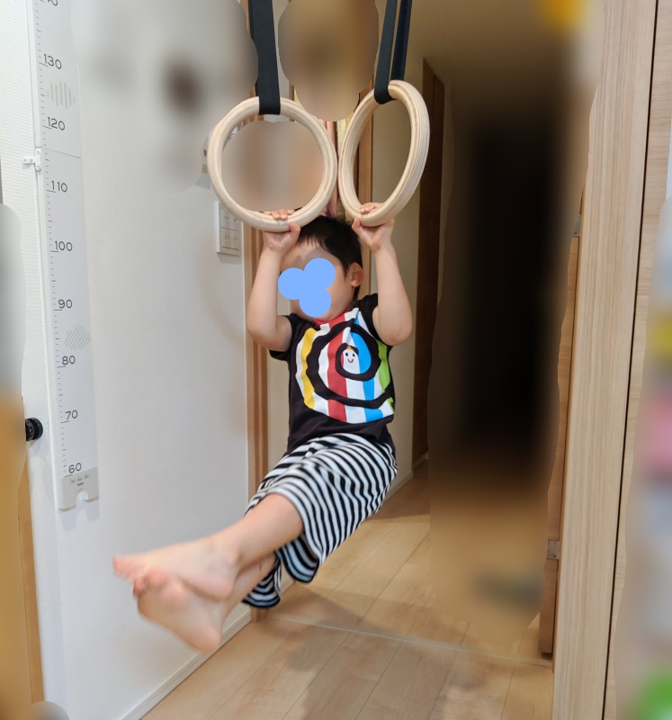 ブランコ 子供 DIY  アウトドア  トレーニング 逆さぶら下がりにも最適 室内  5％OFF COMINGFIT 体操吊り輪